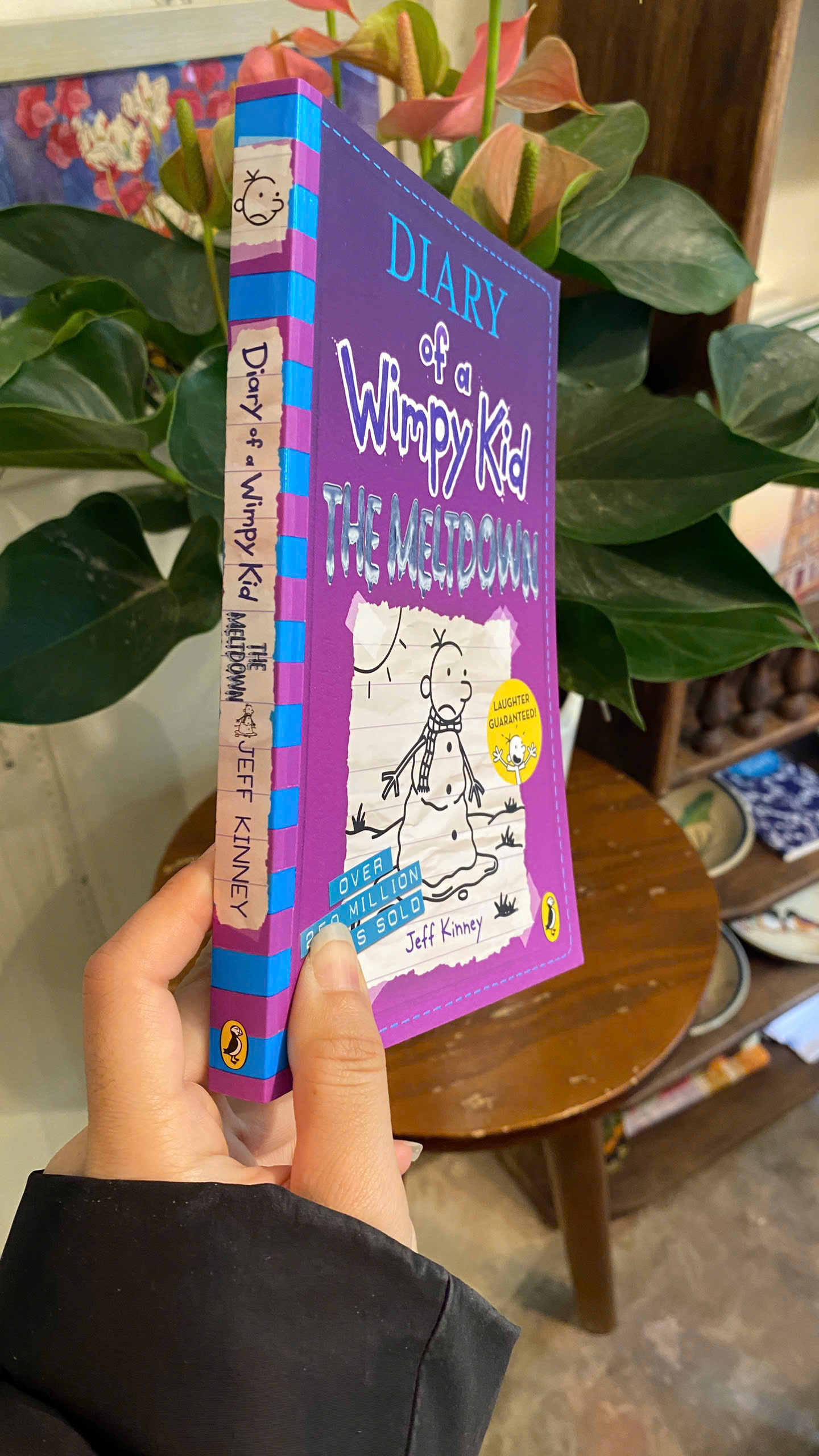 Sách - Diary of a Wimpy Kid: The Meltdown by Jeff Kinney | Children’s Book / Ngoại văn Thiếu nhi