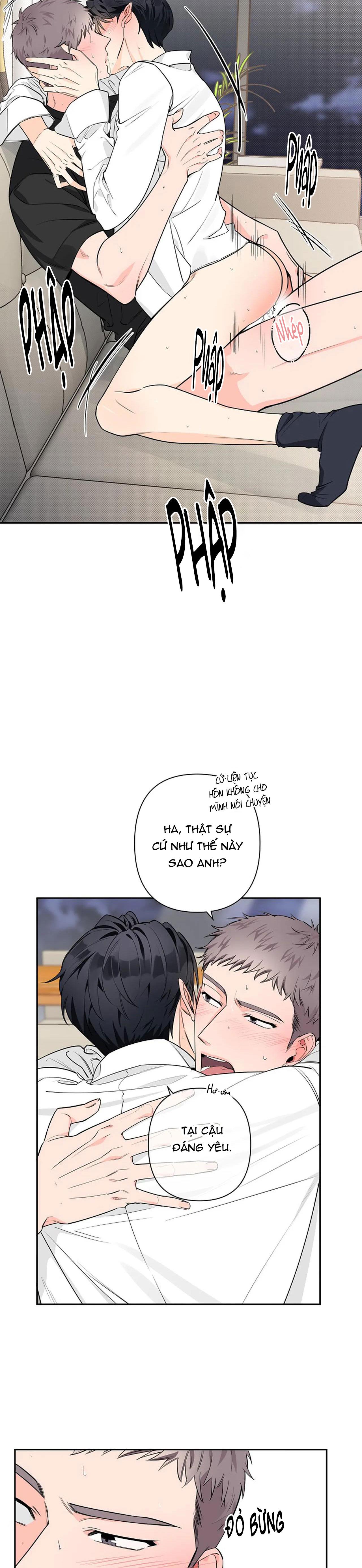 đêm dịu dàng chapter 31 23