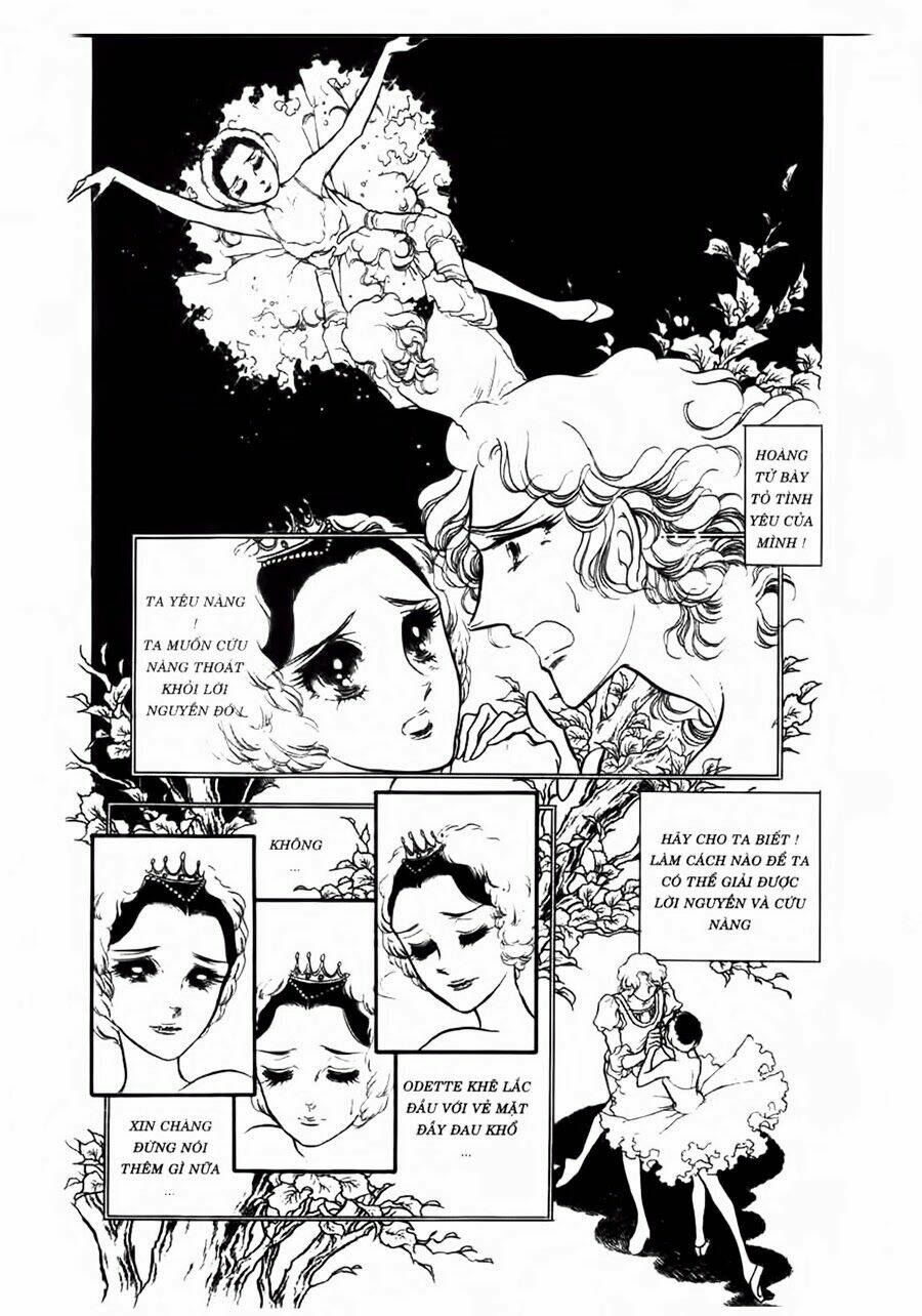 swan - vũ khúc thiên nga chapter 45 13