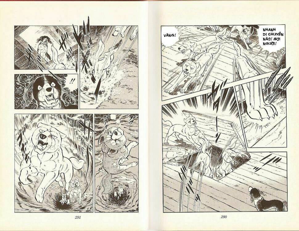 chú chó có nghĩa - ginga nagareboshi gin chapter 18 13