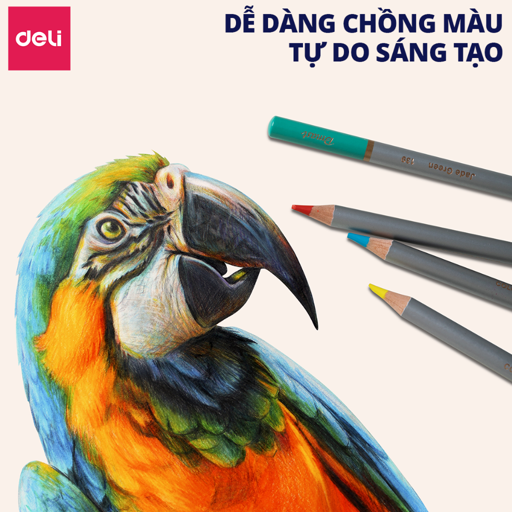 [Tặng Cọ] Bút Chì Màu Gốc Nước Dmast Cao Cấp Deli - Chì Màu Hộp Thiếc 24/36/48/72 Màu - Tô Vẽ Tranh Chuyên Nghiệp