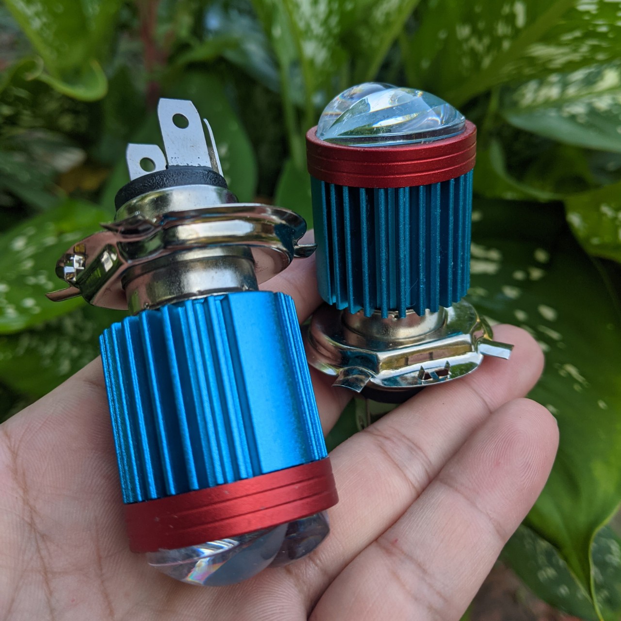 Đèn pha xe máy led bi cầu Z02 cốt vàng pha trắng hàng cao câp