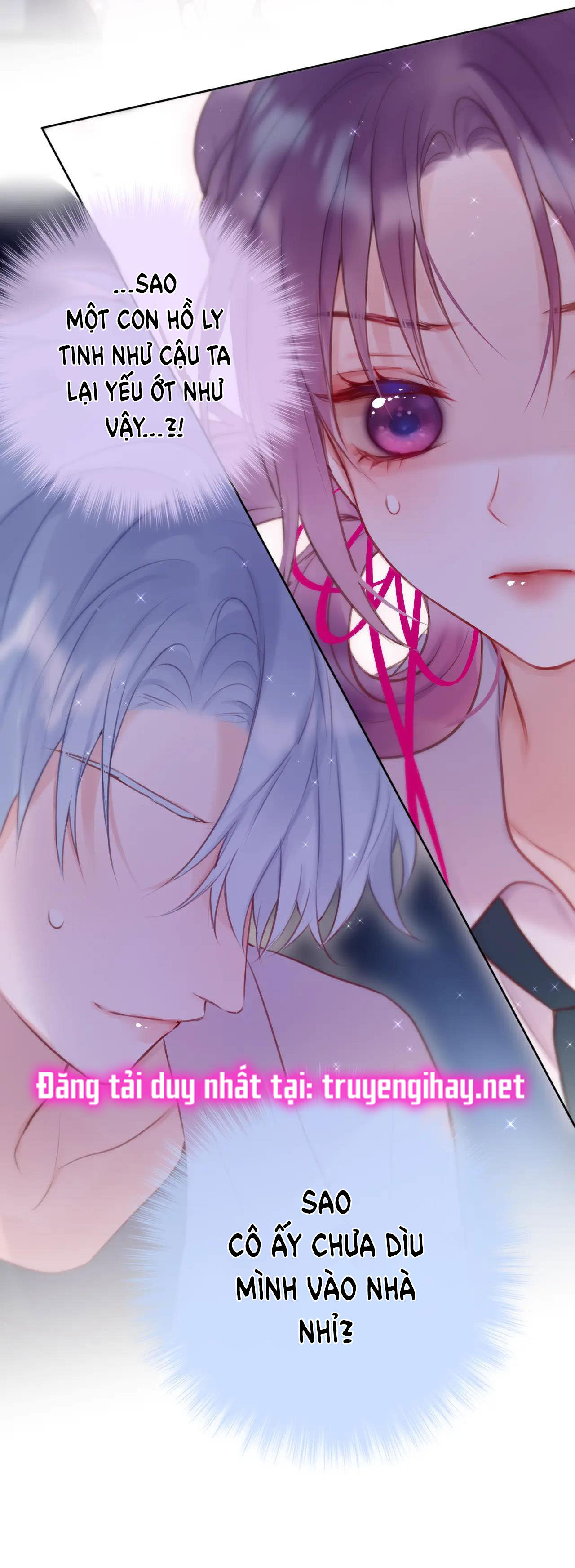 cạm bẫy của hồ ly chapter 8.2 12