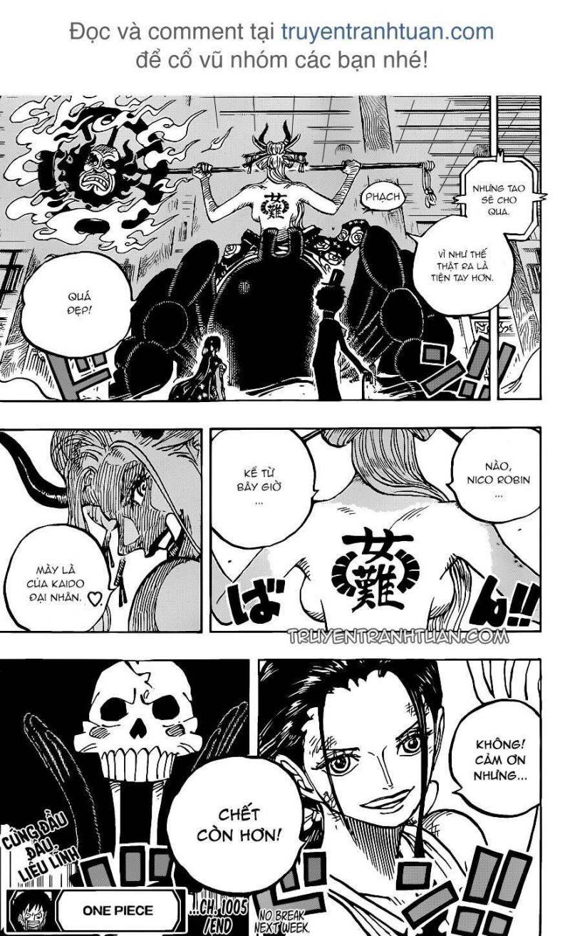 đảo hải tặc - one piece chapter 1005 16