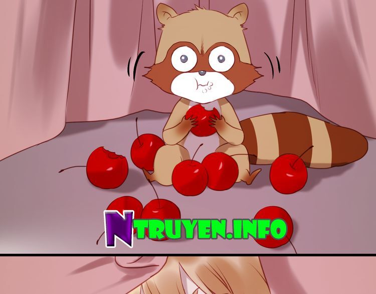 lượm được một tiểu hồ ly phần 1 chapter 61 47