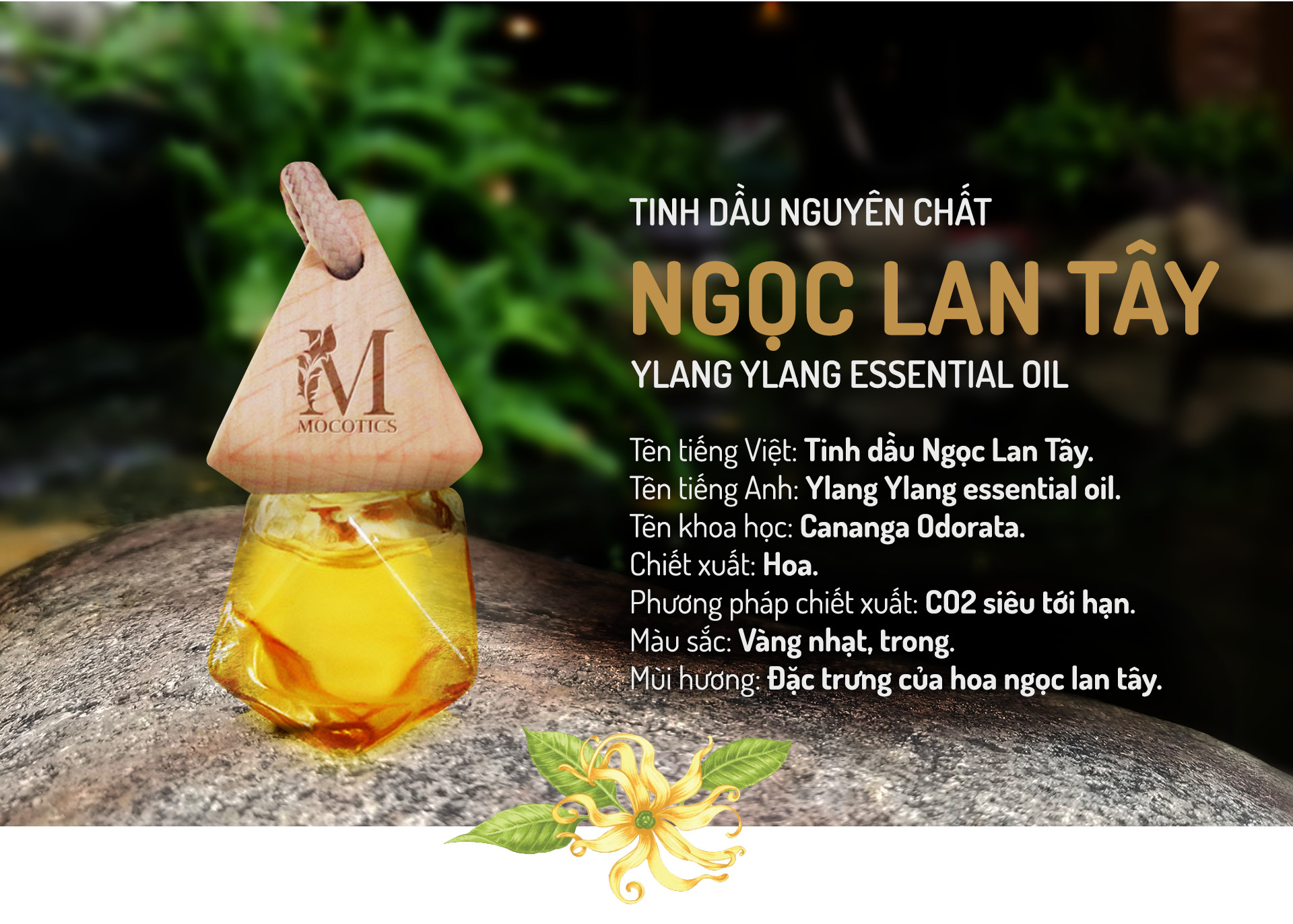 Tinh Dầu Ngọc Lan Tây Treo Xe Ô tô MOCOTICS, Treo Tủ Quần Áo, Giúp Khử Mùi, Thơm Phòng, Chống Say Xe Hiệu Quả