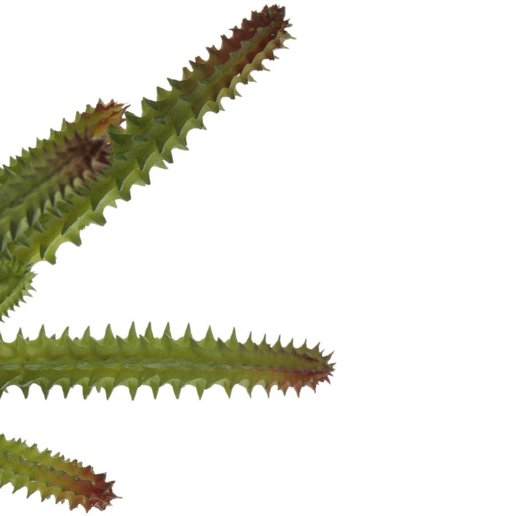 Plastic Terrarium Lifelike Plant Decorative Ornament for Reptile
