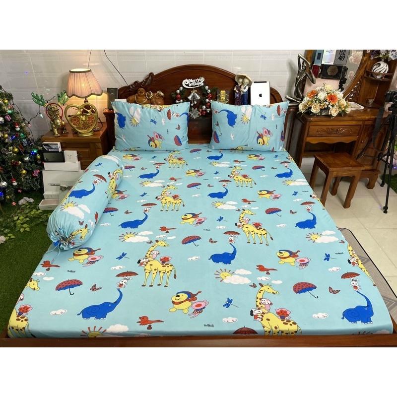 Drap thun hàn quốc