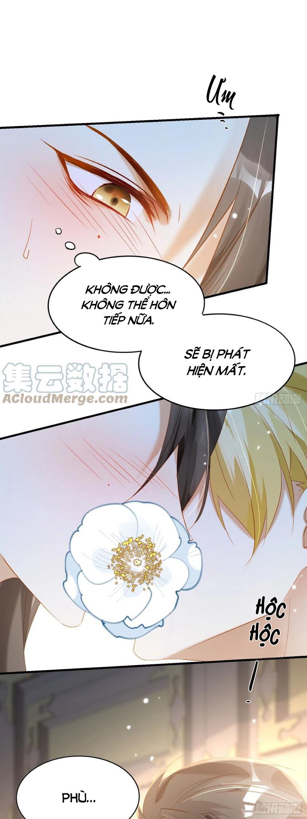lục thân bất nhận chapter 70 3