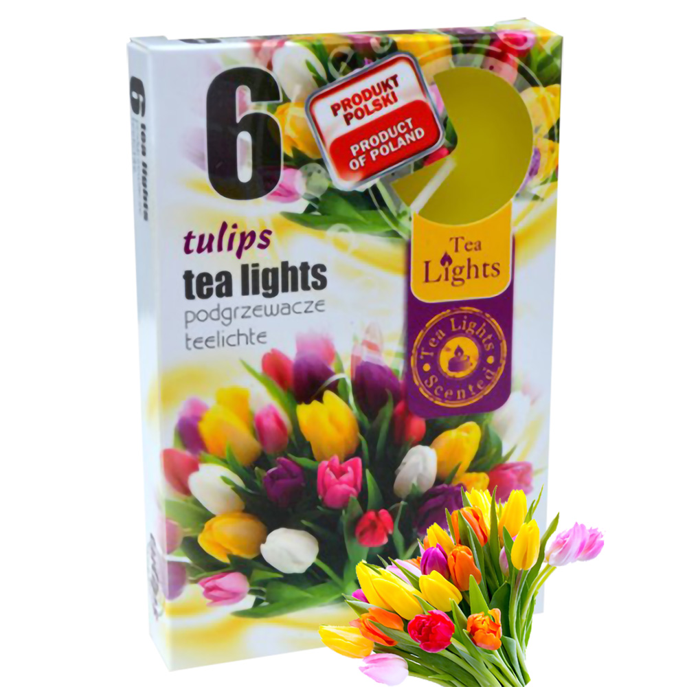 Hộp 6 nến thơm tinh dầu Tealight Admit Tulips QT026054 - hương hoa tulips