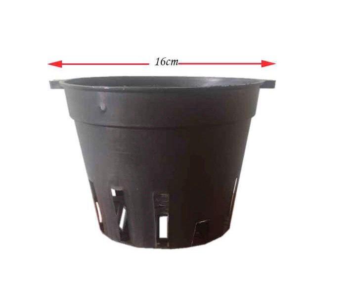 Bộ 10 chậu chựa trồng lan phi 16
