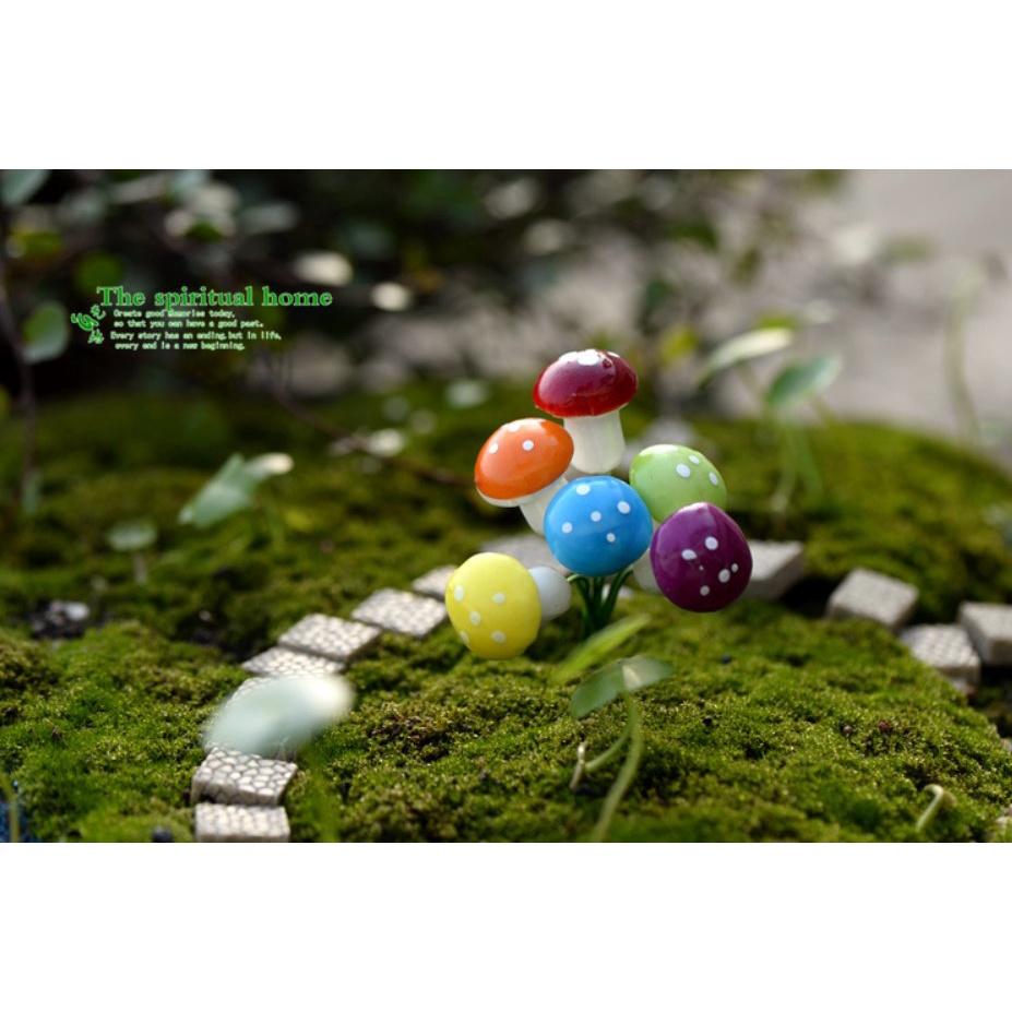 Cây Nấm Mini - trang trí bể cá, terrarium giao màu ngẫu nhiên
