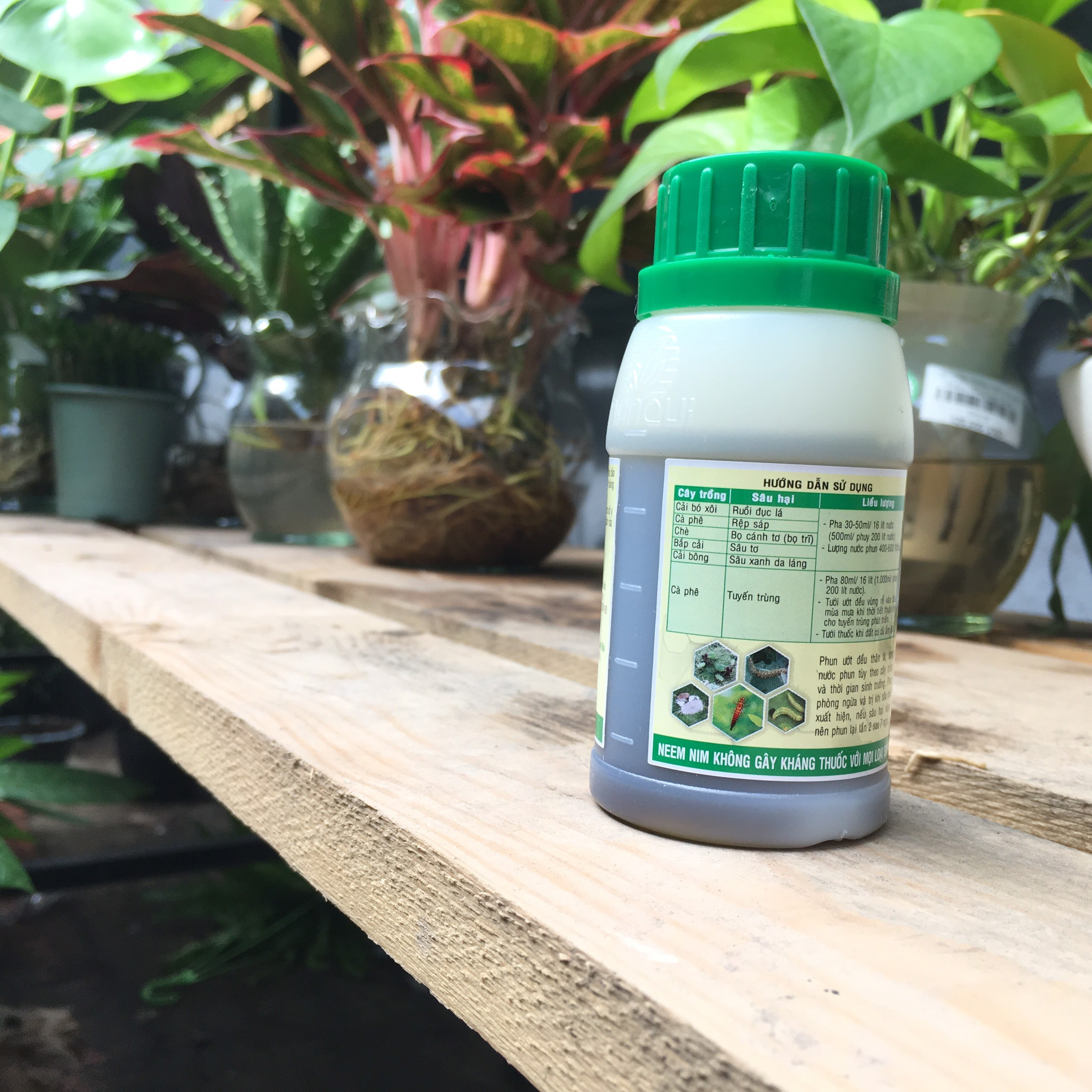 Neem Nim Xoan Xanh Green 0.3 EC- Thuốc trừ sâu sinh học - 100ml