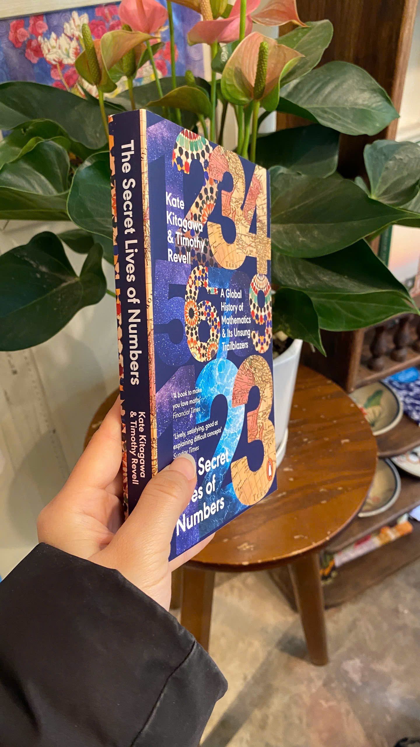 Sách - The Secret Lives of Numbers by Kate Kitagawa | History / Science / Mathematics / Ngoại văn