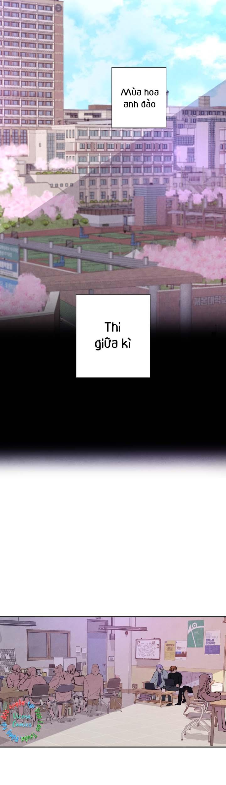 âm thanh của san hô chapter 23 3