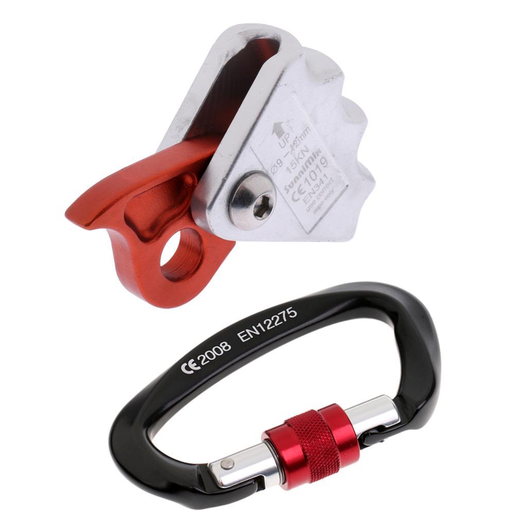 Safety Outdoor Rock Climbing Tree Arborist Caving Rescue 15KN Rope Grab Protecta with 25KN Screwgate Locking Carabiner