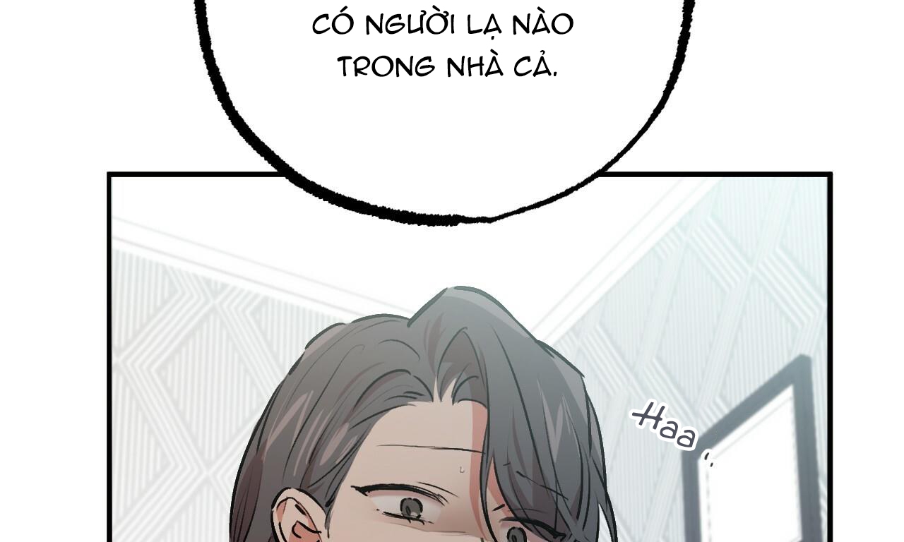 đàn thỏ của habibi chapter 33 269