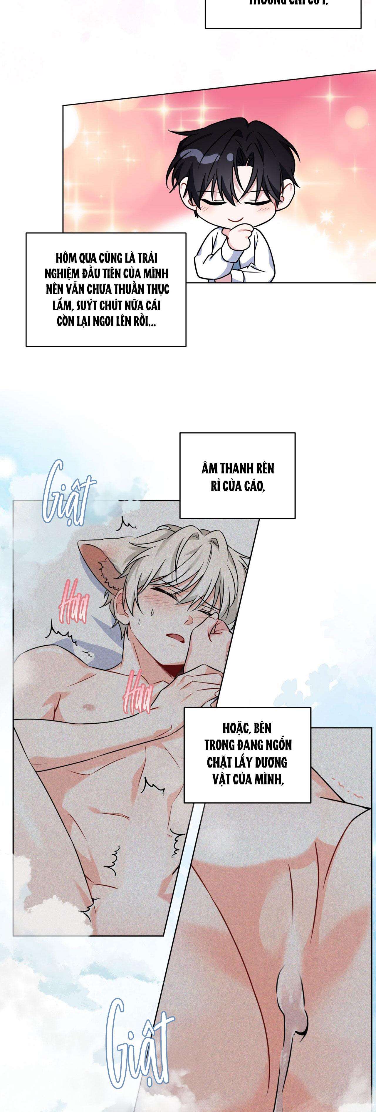 nước uống tình yêu của cáo plin chapter 10 26