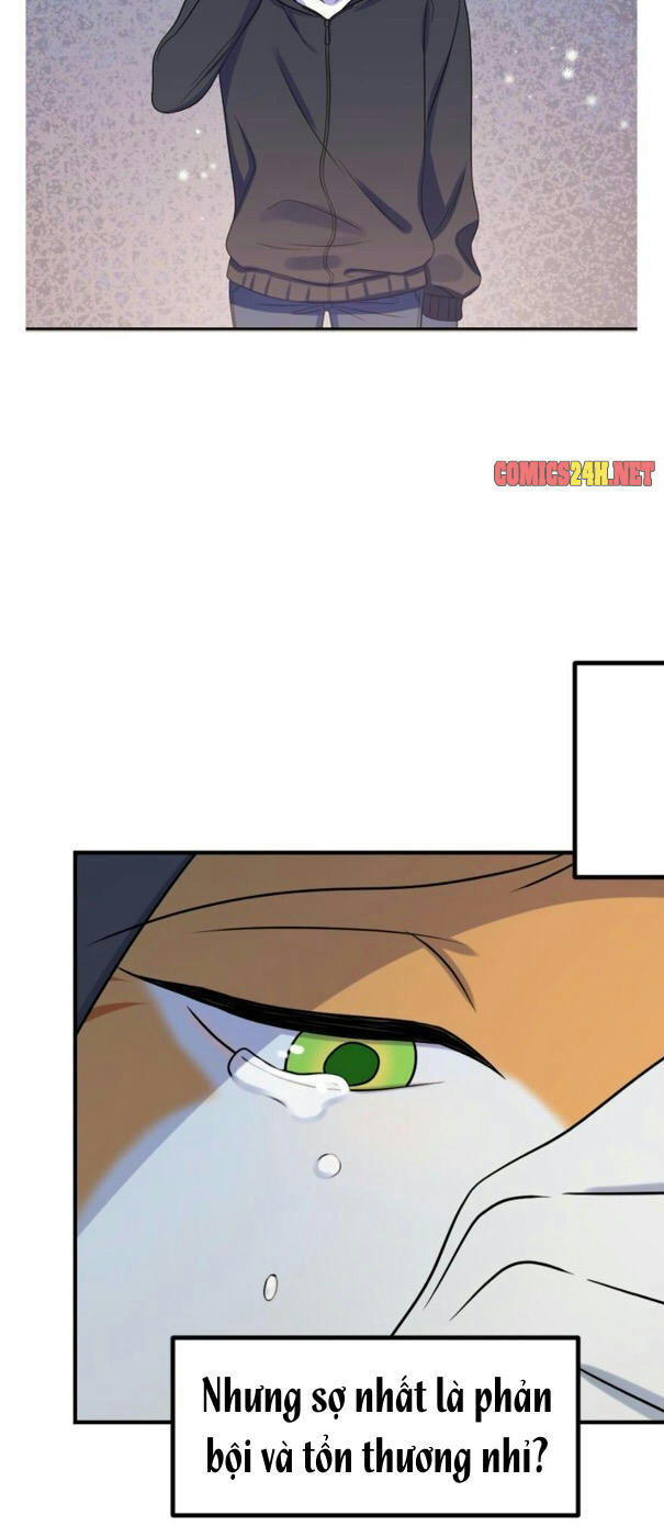 dự án xanh chapter 20 36