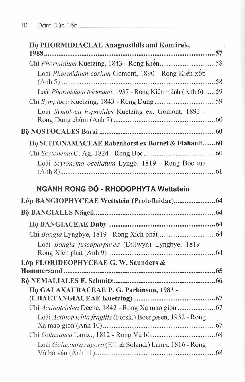 Rong Biển Quần Đảo Trường Sa