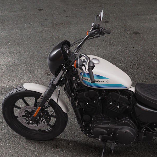 Xe Mô Tô Harley Davidson Iron 1200 - 2019