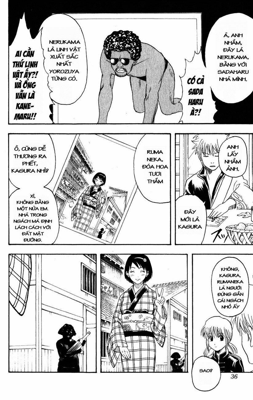 gintama - linh hồn bạc chapter 195 10