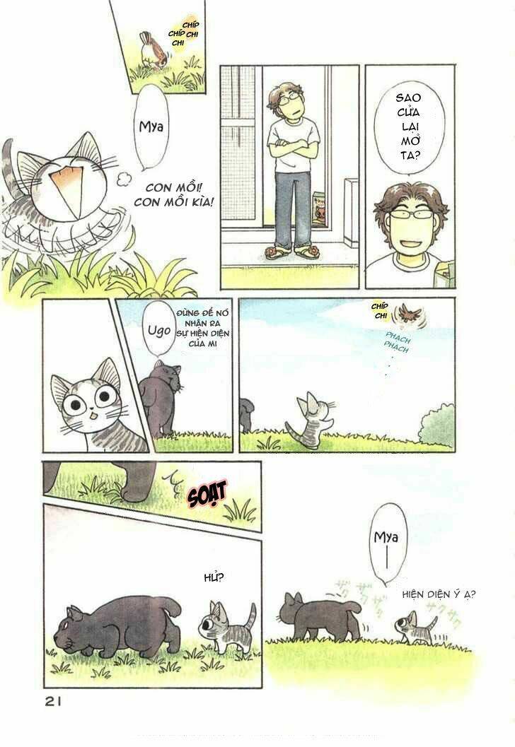 chi's sweet home chapter 41 3