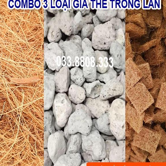 3 LOẠI GIÁ THỂ TRỒNG LAN GỒM CHỈ DỪA - THẢM DỪA CẮT MIẾNG - ĐÁ BỌT