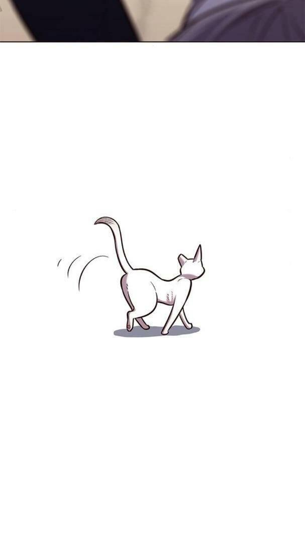 biến thân thành mèo chapter 178 25