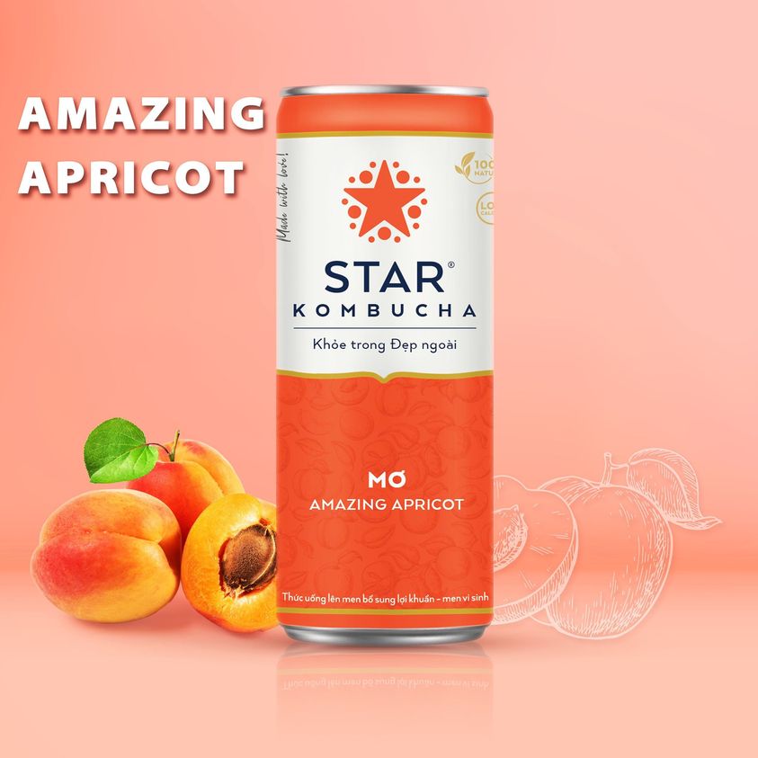 Combo 3 thùng trà lên men Star Kombucha mix 12 vị
