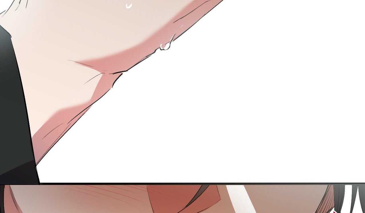 đàn thỏ của habibi chapter 50 164