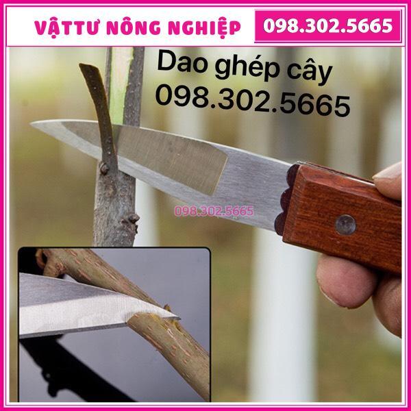 Dao chiết ghép cành cán gỗ- Dụng cụ Ghép Cây Chuyên Dụng - Chuyên dùng cho nhà vườn