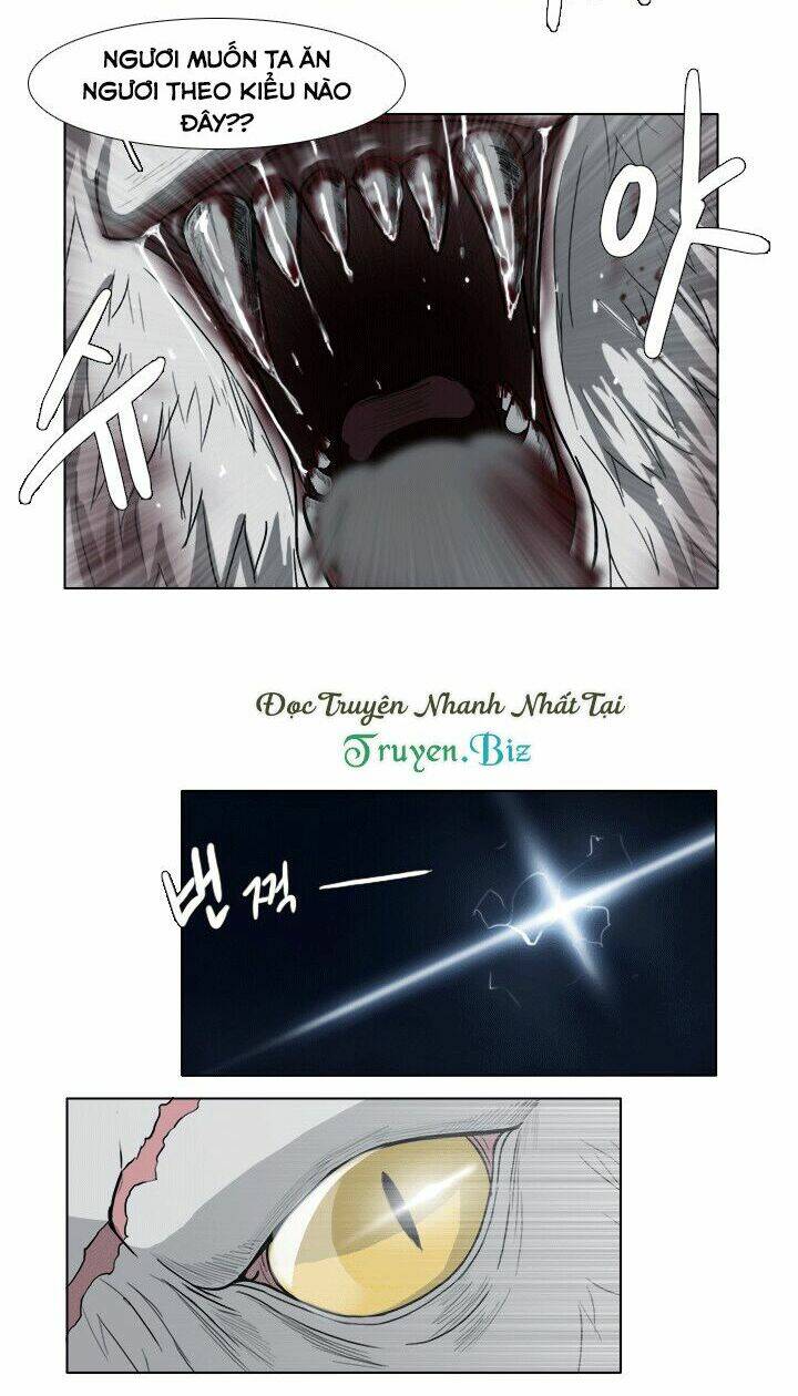 m. m. g. chapter 11 11