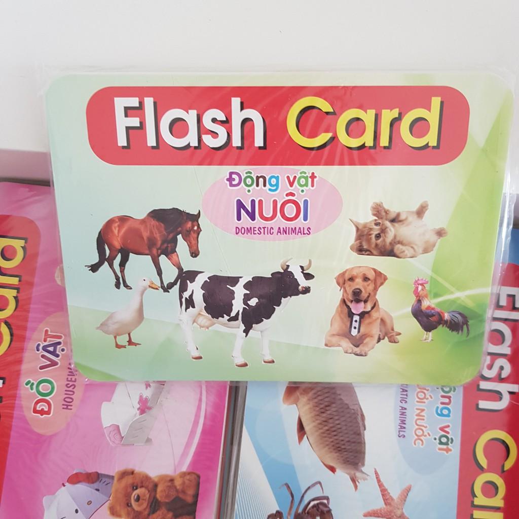 Thẻ học thông minh dạy trẻ TGXQ 12x16cm 19 chủ đề cho bé Ivory Flashcard 256 thẻ tái bản 2021
