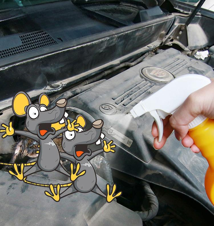 Dung Dịch Xịt Đuổi Chuột MOUSE REPELLENT CARJAY 500ml, Bảo Vệ Ô Tô Khỏi Chuột Hiệu Quả, An Toàn Và Dễ Sử Dụng - Hàng Nhập Khẩu