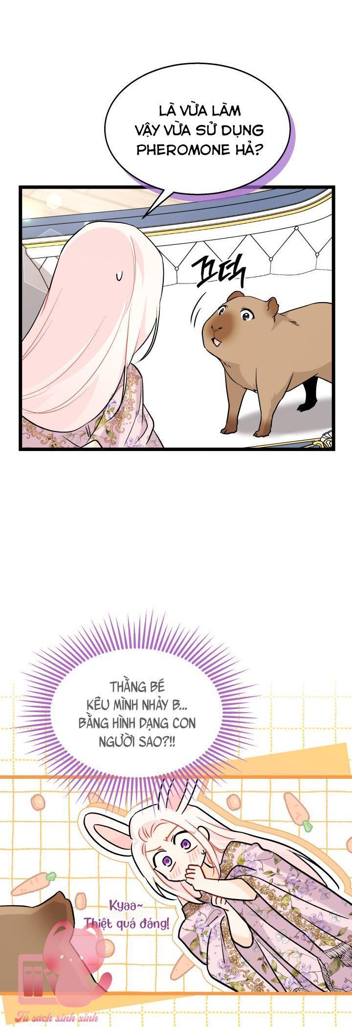 quan hệ cộng sinh giữa báo đen và thỏ trắng chapter 123 41