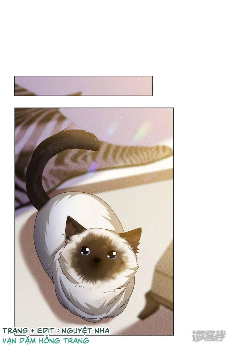 cô ấy đến rồi, xin nằm xuống! chapter 209 13