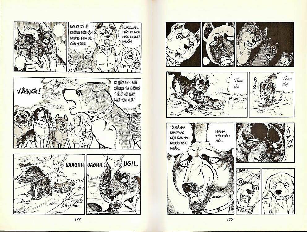 chú chó có nghĩa - ginga nagareboshi gin chapter 21 18