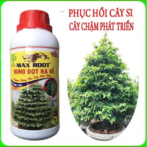 Max Root bung đọt ra rễ cây mai vàng , phục hồi cây si cực hiệu quả ( chai 500ml )