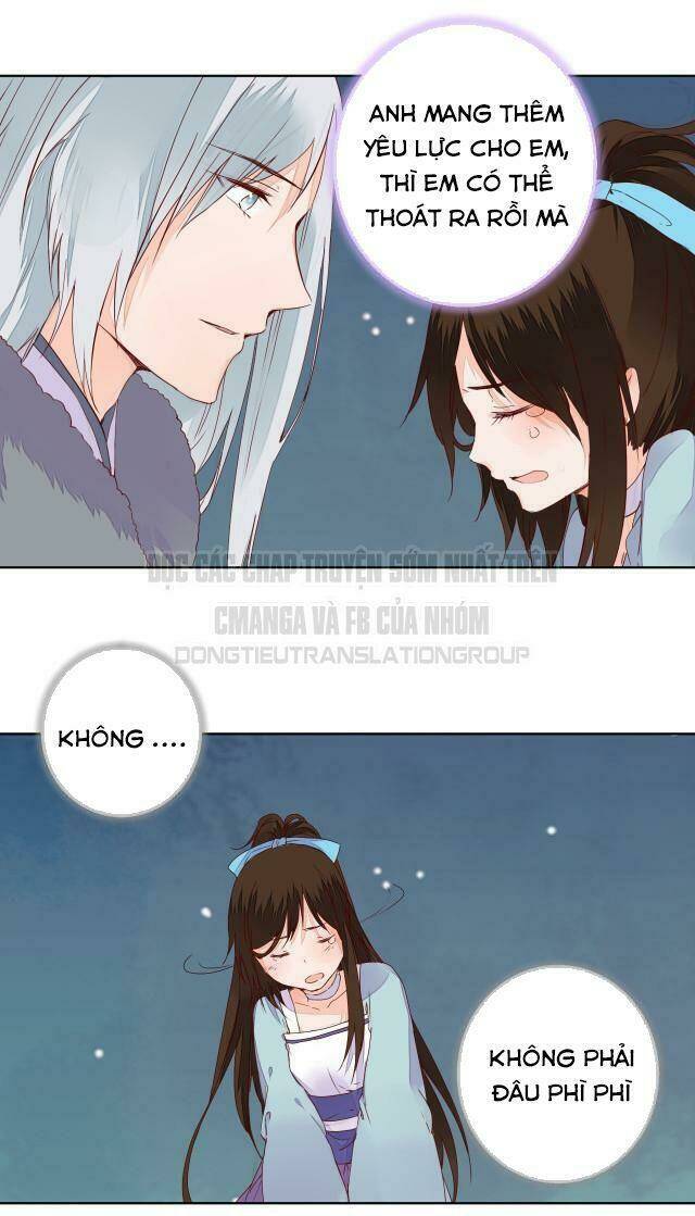 đốt đào hoa chapter 60 4