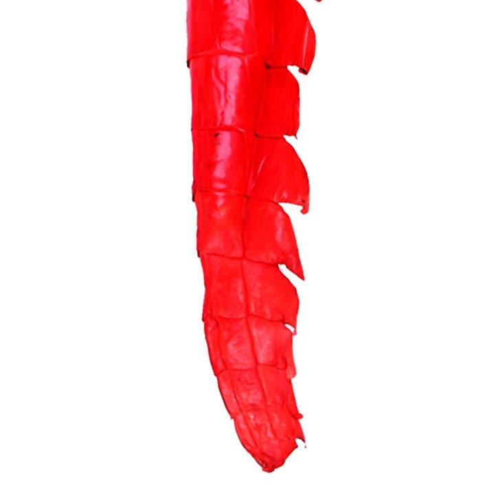 Móc khóa da cá sấu Huy Hoàng gai đuôi màu đỏ HC8244