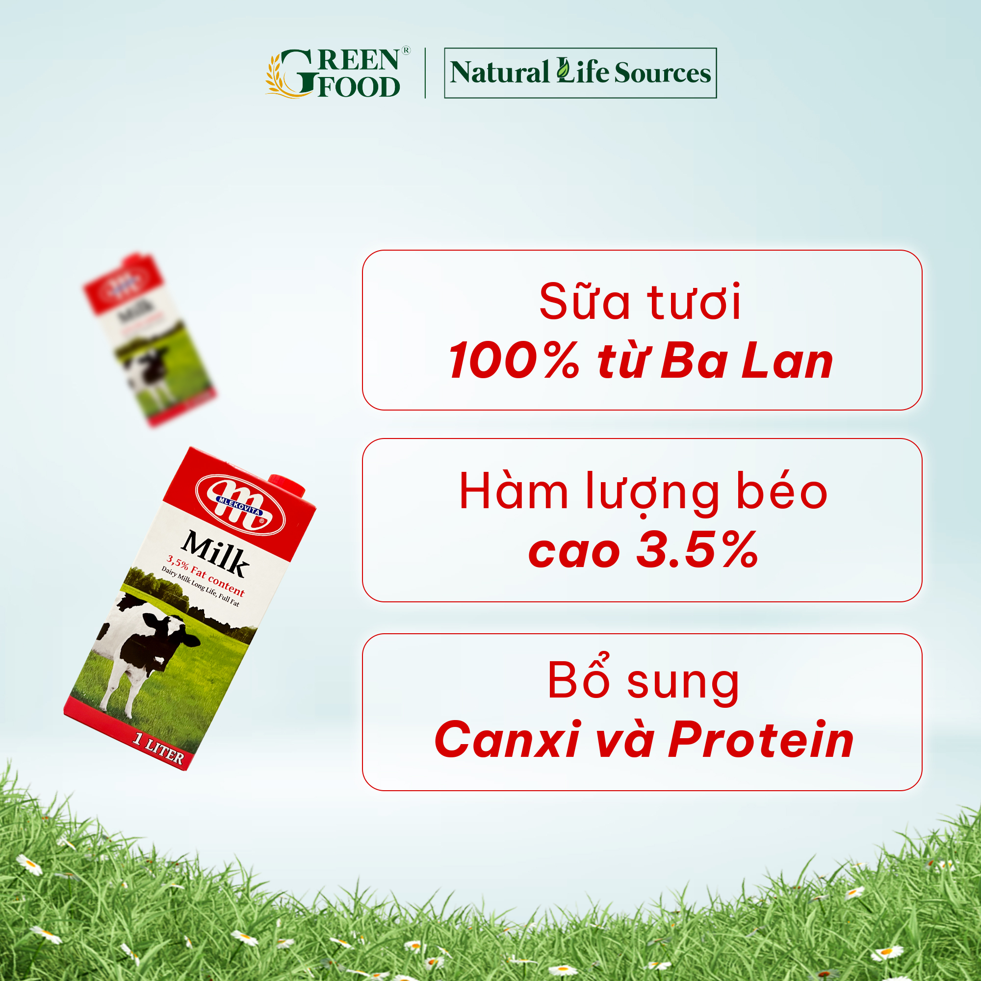 Sữa tươi tiệt trùng nguyên kem không đường Mlekovita - Độ béo 3.5% | Hộp 1L, nhập khẩu trực tiếp từ Ba Lan.