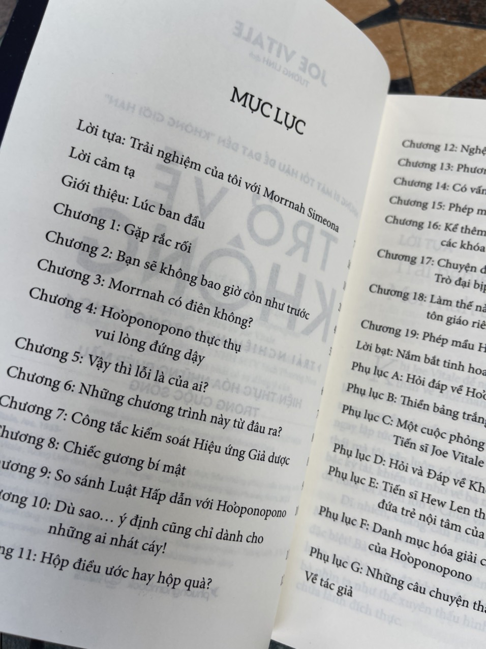 (Combo 2 cuốn) KHÔNG GIỚI HẠN và TRỞ VỀ KHÔNG – Joe Vitale và Ihaleakala Hew Len – Tường Linh dịch – Phương Nam Book – NXB Thế Giới (Bìa mềm)