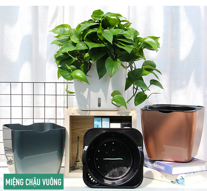 Chậu trồng cây G113. Chậu trồng cây thông minh tự dưỡng, có chức năng tự tưới nước cho cây