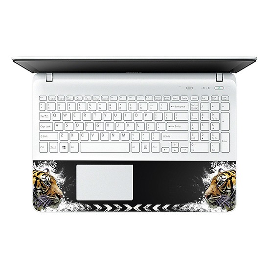 Mẫu Dán Decal Laptop Nghệ Thuật LTNT- 12 cỡ 13 inch
