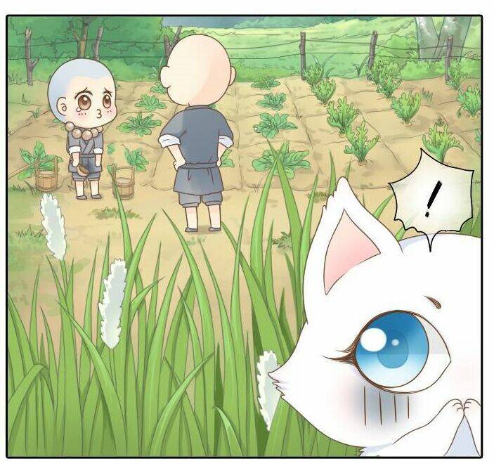 cho ta tiểu hòa thượng này đi! chapter 1 12