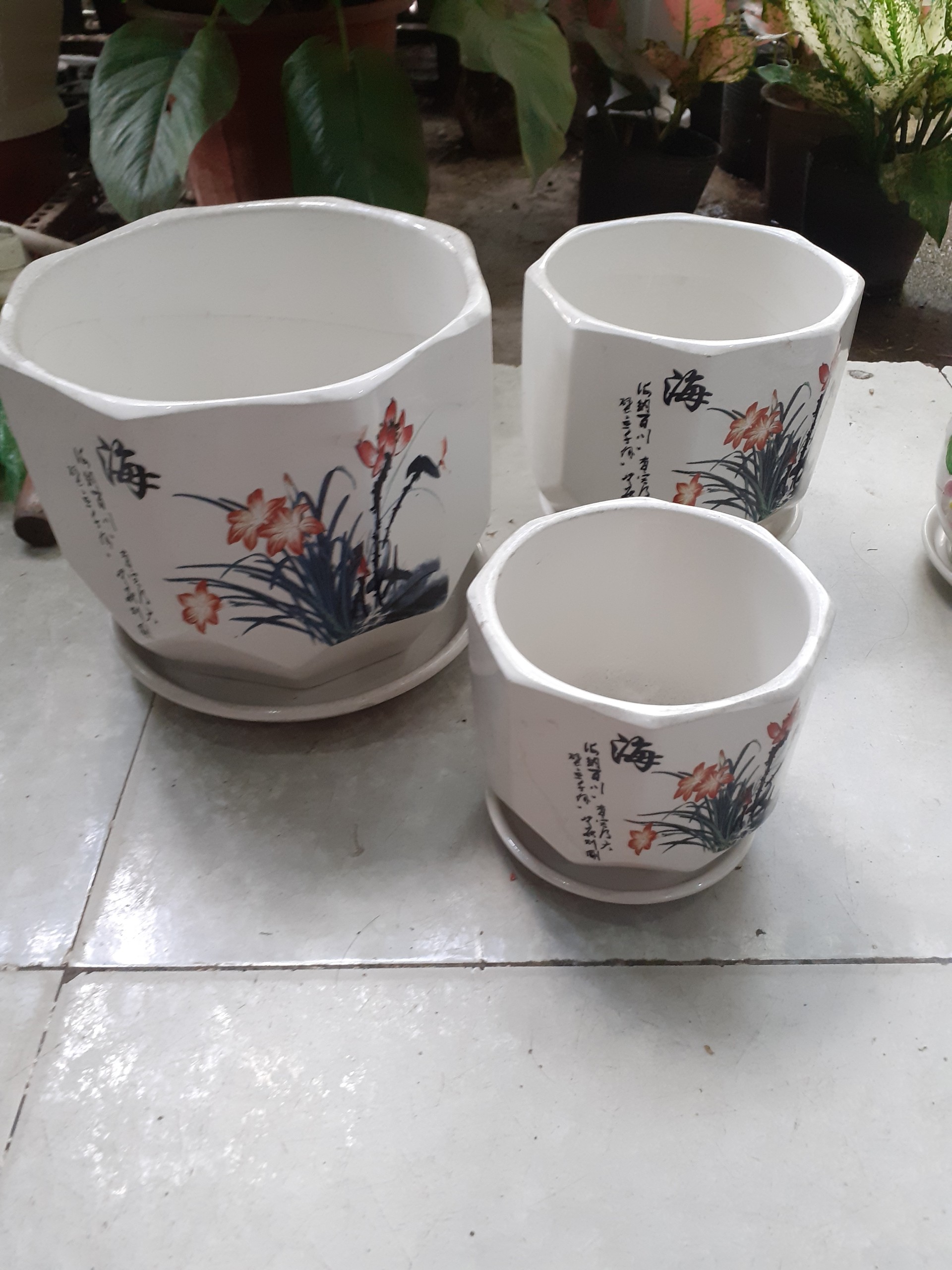 Chậu kèm dĩa BÁT GIÁC hoa