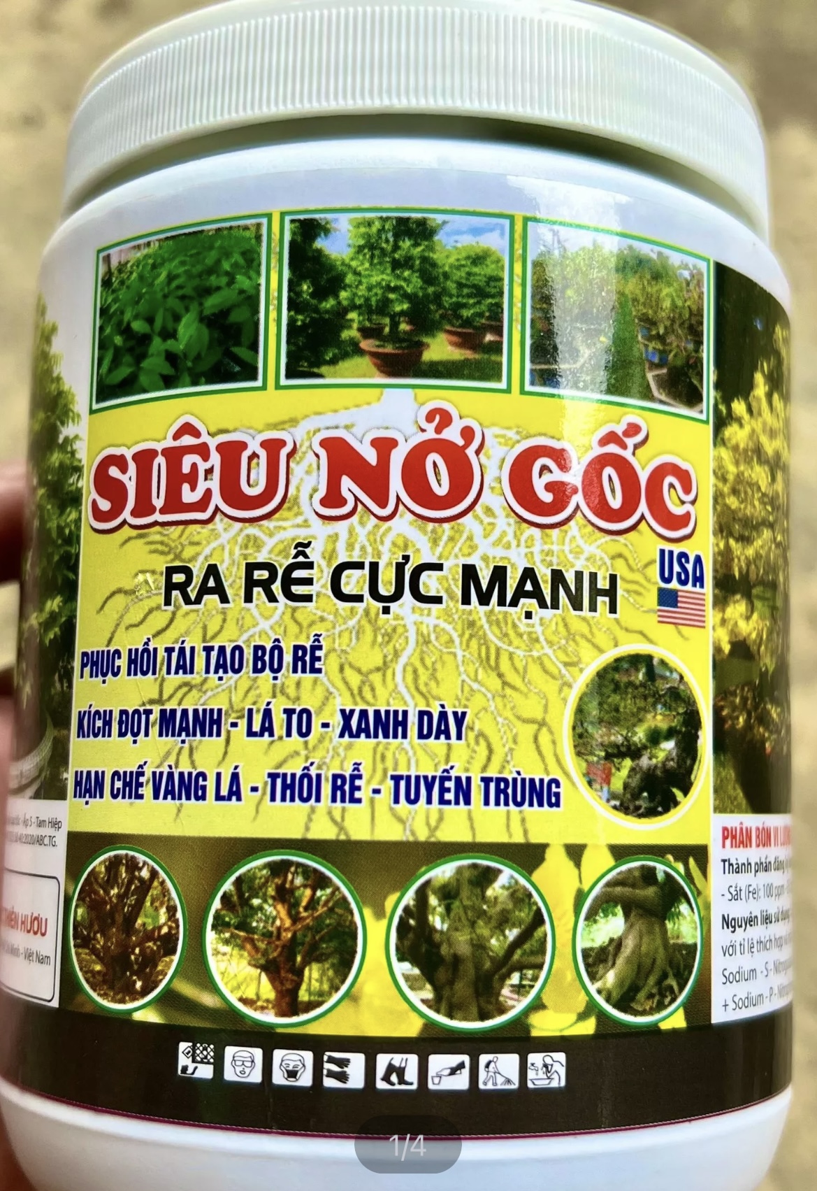 ￼Siêu nở gốc usa, mập thân, mập đọt, kích rễ cực mạnh, xanh cây dày lá