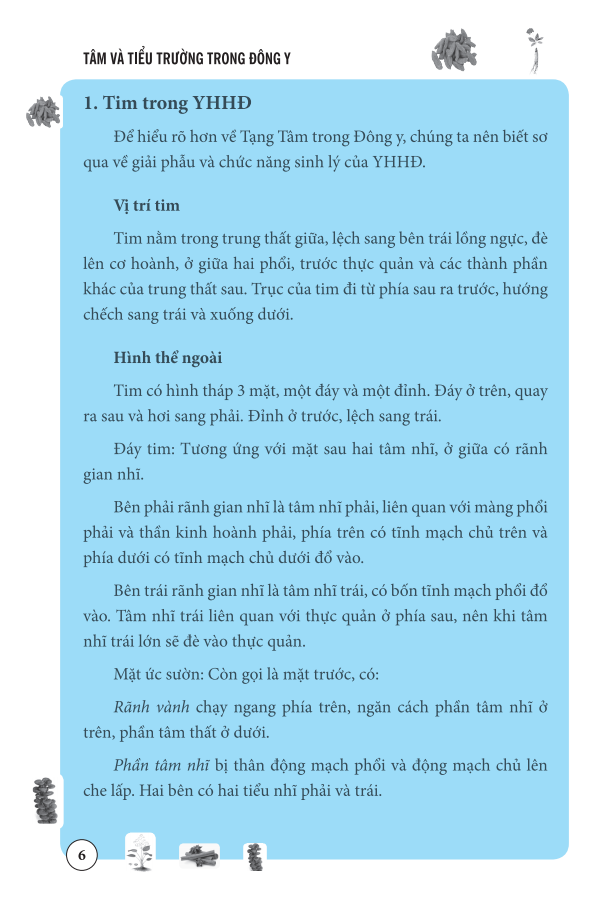 Sách Tâm Và Tiểu Trường Trong Đông Y (Bìa mềm)