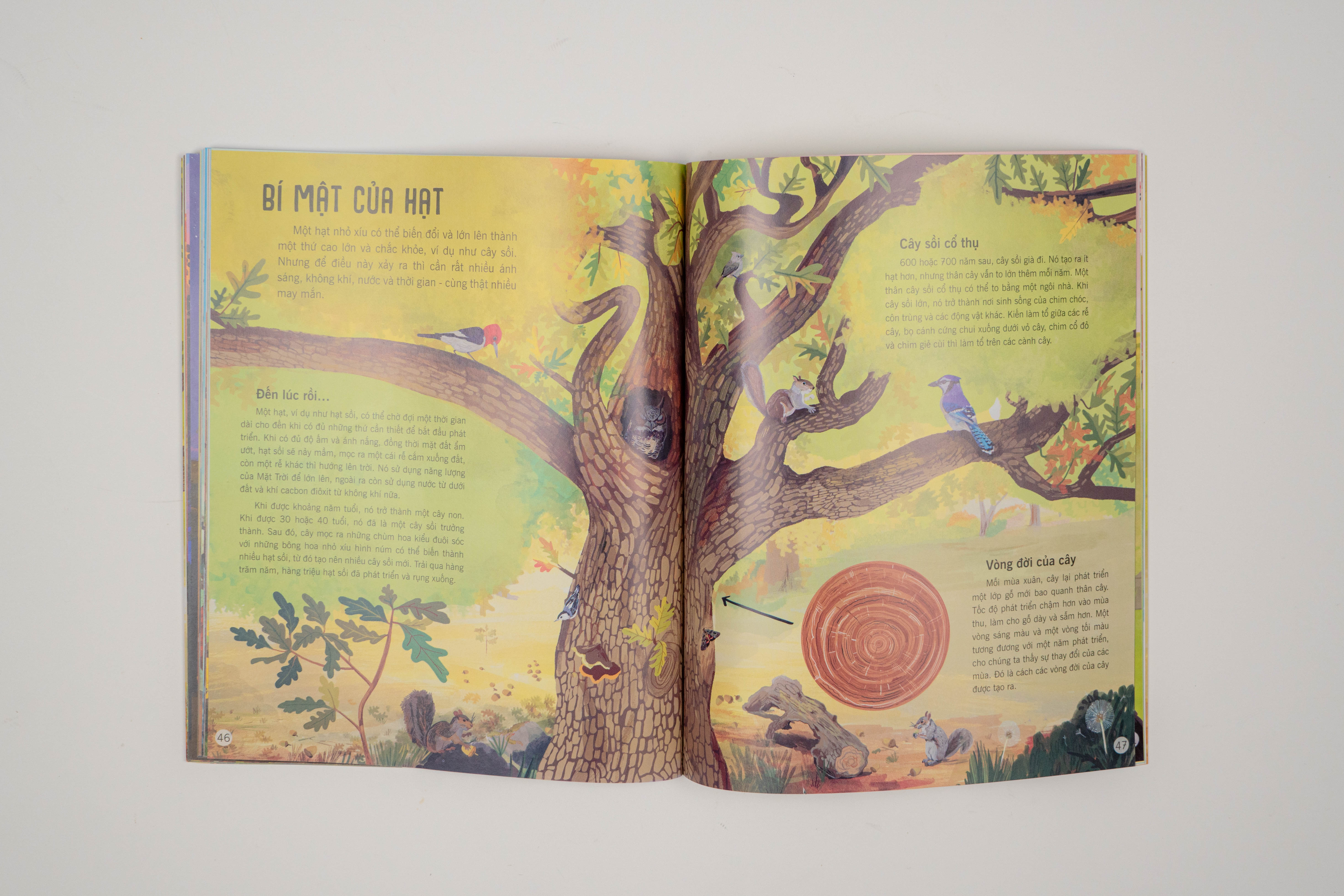 Sách - Vạn vật biến đổi - Bách khoa tri thức cho trẻ từ 6 - 12 tuổi - Đinh Tị Books